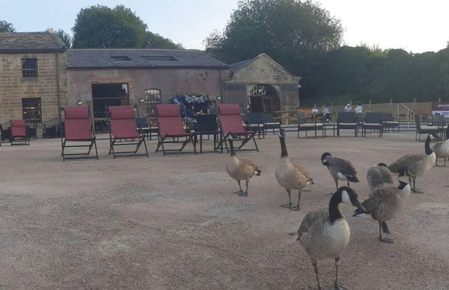 1700s Canalside Cottage Sleeps up to 12 Guests - Foto 42