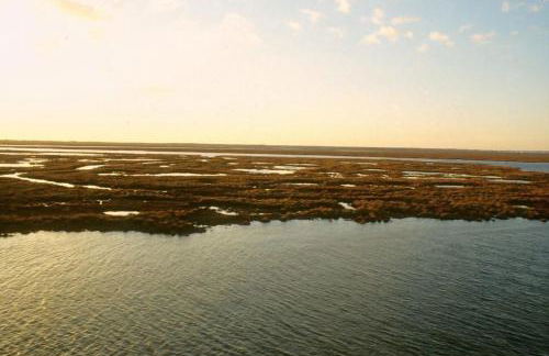 Chalet en la misma playa - Foto 21