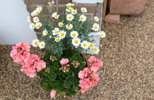 Little England Cottage - Foto 16