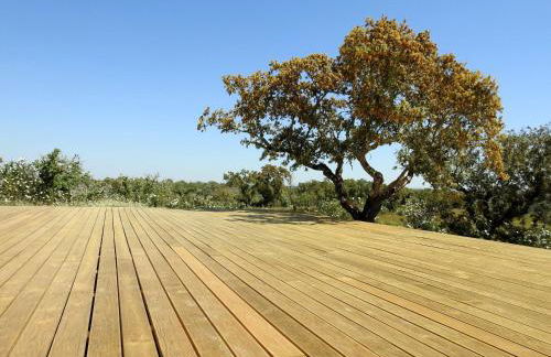 Bubulcus and Bolotas - Off Grid Nature Holiday Home - Foto 10