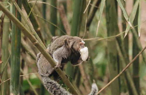 Casa Mundo Buzios - Foto 44