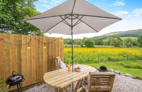 Freedom Fields - Bluebell - Photo 9