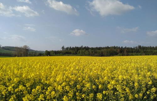 Ferienwohnung Auszeit am Edersee - Foto 11