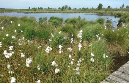 Schmugglernest - Foto 27