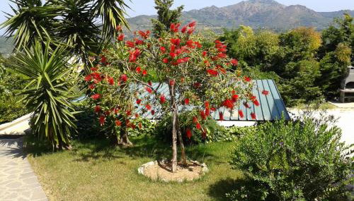 Apartment in Villa 2 to 3 Persons With Large Private Garden - Foto 2, Garden