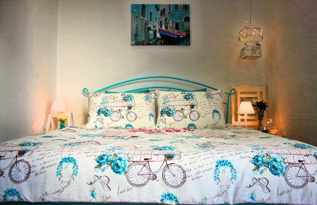 Maltese Maltese - Foto 10