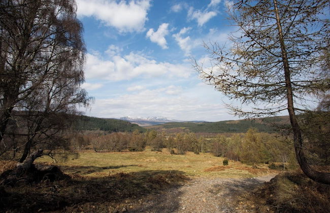 Juniper Hill, Loch Achilty - Foto 21