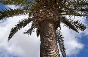 Sombra de Guanapay - Foto 35