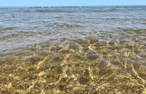 Mare Nostrum TF - Foto 11