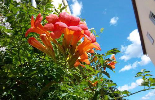 Ferienwohnungen Bochmann - Foto 12