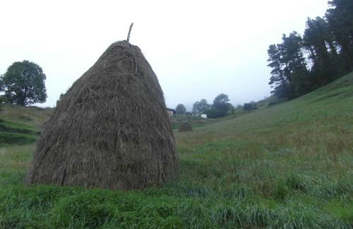 Etxeberri Landa Etxea - Foto 18