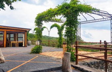 Boscoscuro - Foto 22