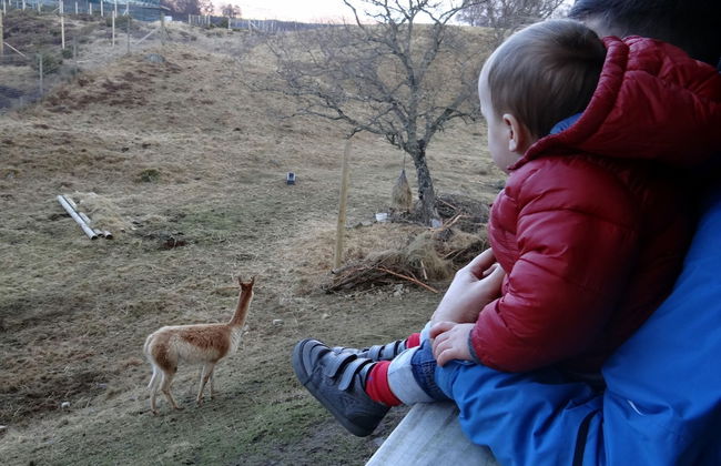 Shetland Cottage - Foto 36