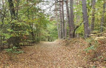 Staffel`s Hob - Foto 13