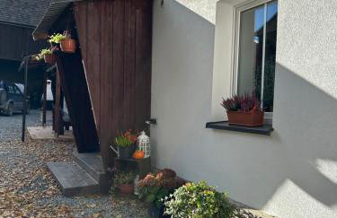 Dom Pod Dębem Agroturystyka - Foto 26