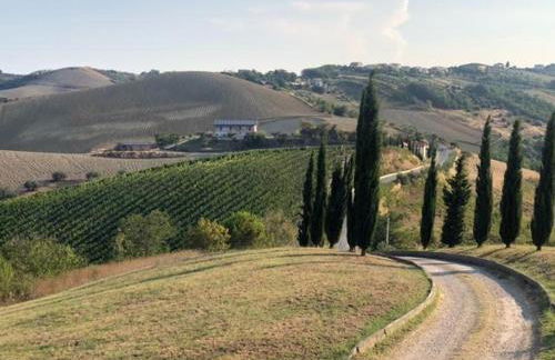 Casa Belfi - Foto 41