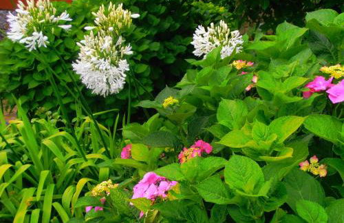 La Chimenea Cantabra - Foto 71