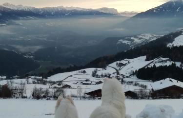 Pitznerhof - Foto 24