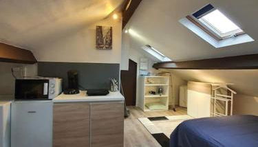 Limoges studio proche pôle santé - Foto 4