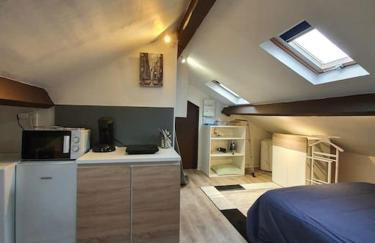 Limoges studio proche pôle santé - Foto 4