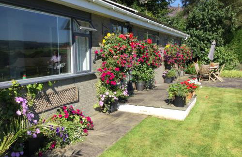 Dolau Meurig - Foto 1