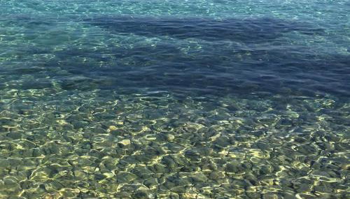 APARTMENT ŽUŽI Otok Silba Hrvatska - Foto 4