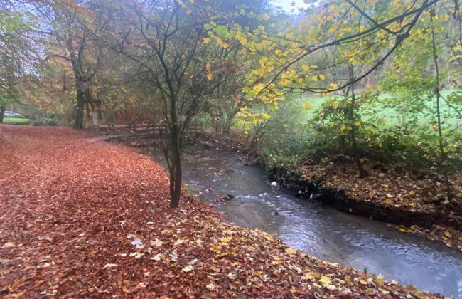 1br-balcony-petfriendly-garden-free Parking - Foto 19