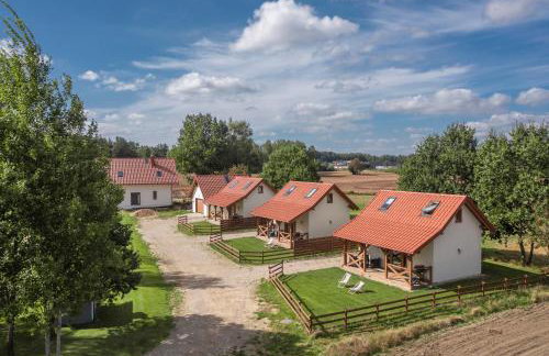 Ostoja Lemany - domki na Kaszubach, sauna, balia-jacuzzi, plac zabaw, tyrolka , dwa boiska, miejsce na ognisko, grill gazowy - Foto 4