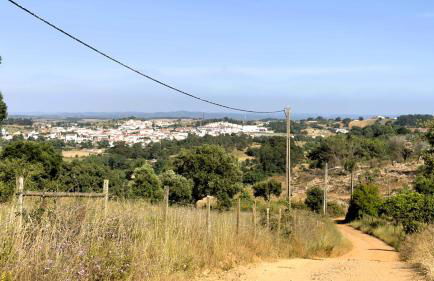 Monte Maltezinho - Foto 56