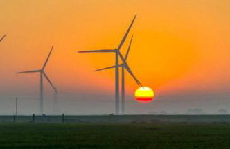 The Surf Shack - Photo 24