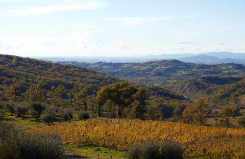 Fattoria La Pieve - Foto 18