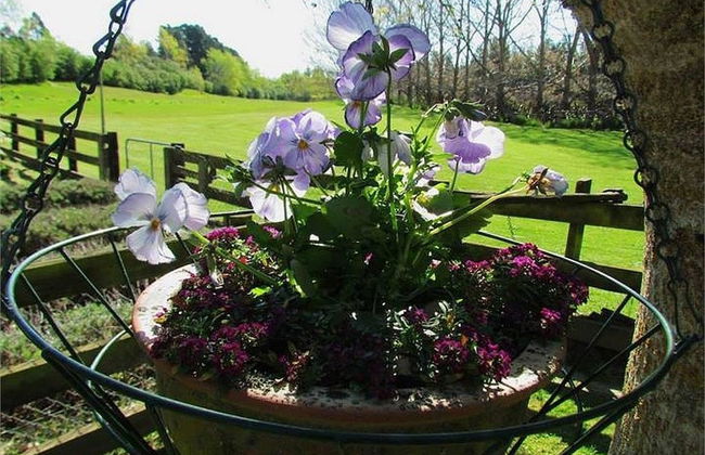 Christchurch City & Country Cottages - Clarence Cottage - Foto 39