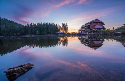 Ferienwohnung Schwarzwald Tannenzäpfle - Foto 50