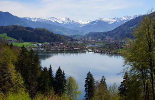 Ferienwohnung mit Sauna am Alpsee - Foto 19