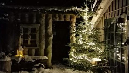 Haus Waldesruh - Photo 3