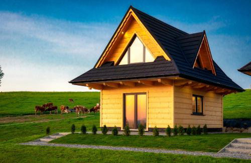 Domki-Przystanek Dzianisz - Foto 60