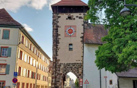 Ferienglück Unterkirnach - Foto 22