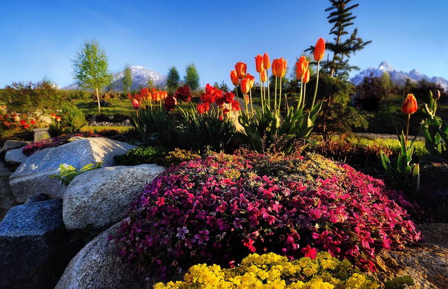 panoraMic Mountain Residence - Photo 33