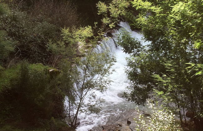 Refugio da Montanha Amazing Views Gois Region - Foto 27