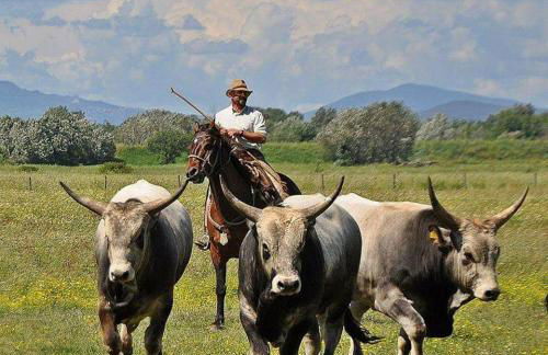 Casale Di Vulci - Foto 26