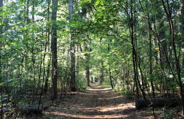 Ferienhaus Isaro - Foto 28