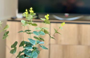 Stylische Studios Würselen Nähe Aachen, WLAN, Netflix, kostenlose Parkplätze, modern & gemütlich - Foto 61