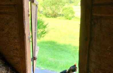 FEWO Unterm Stein - Schneewittchen - 2 Schlafzimmer - Foto 10