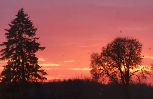 Domek na łące - Foto 9