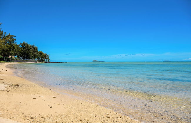 Ocean Grand Gaube with LOV - Foto 13