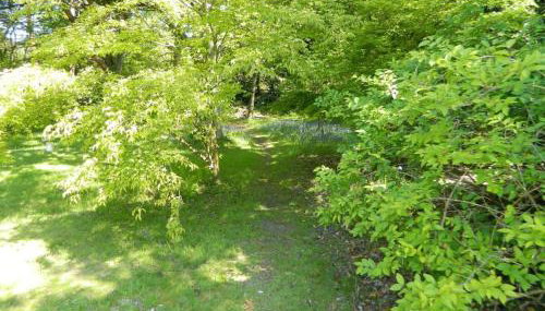 River Cottage a country retreat in wooded gardens - Foto 2