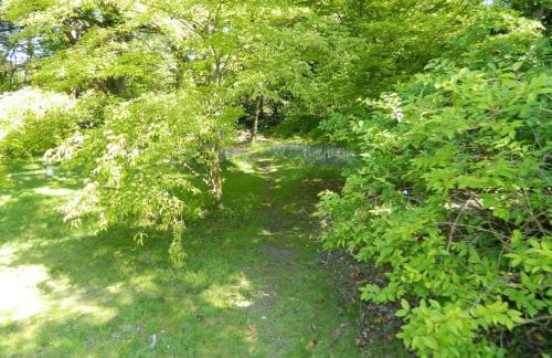 River Cottage a country retreat in wooded gardens - Foto 2