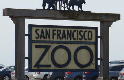 Stunning SanFran Casa close to Center and steps from Ocean - Foto 32