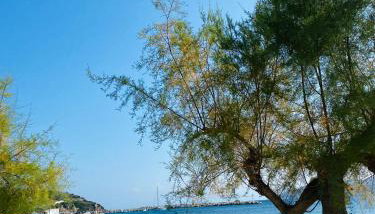 Sirens Resort - Foto 3