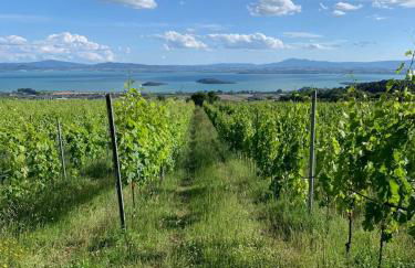 Di Colle in Colle - Agriturismo - Foto 44